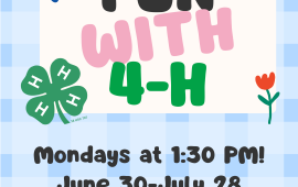 Fun with 4H Summer Program